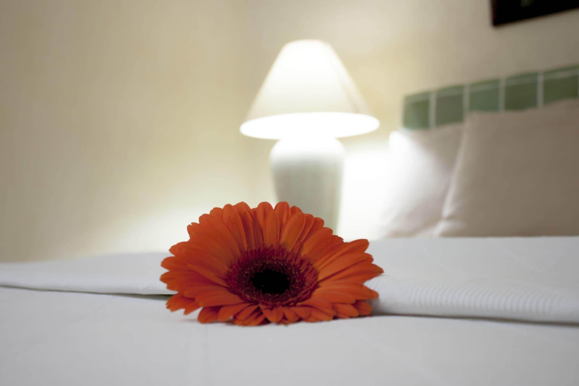 Coral Ixtapa Hotel Ixtapa  Luaran gambar